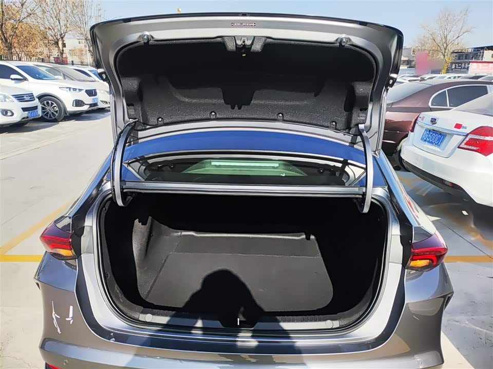 Trumpchi Shadow Leopard