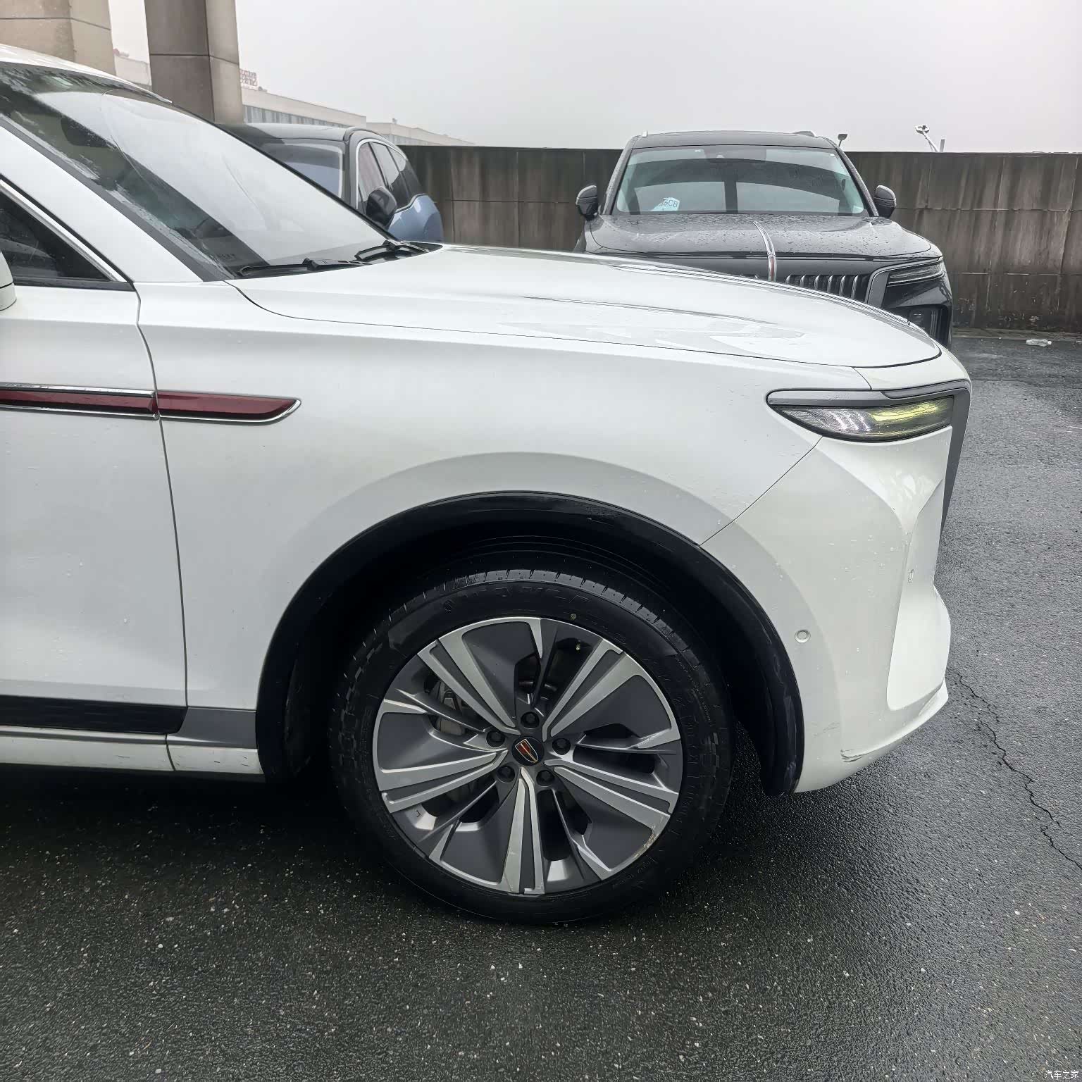 Hongqi E-HS9, 2021 18