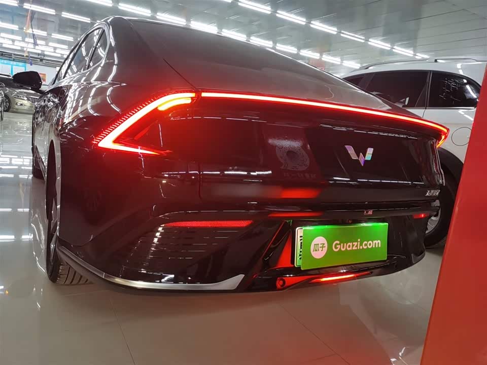 Wuling Wuling Starlight