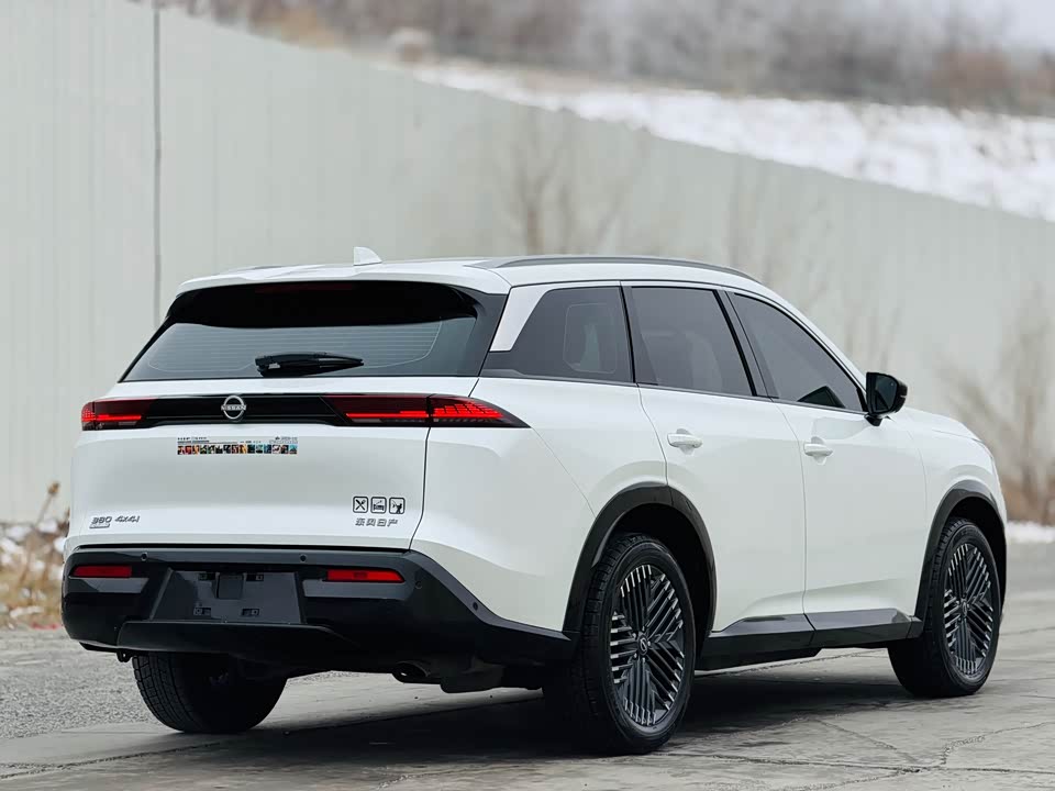 Nissan Exploring the land