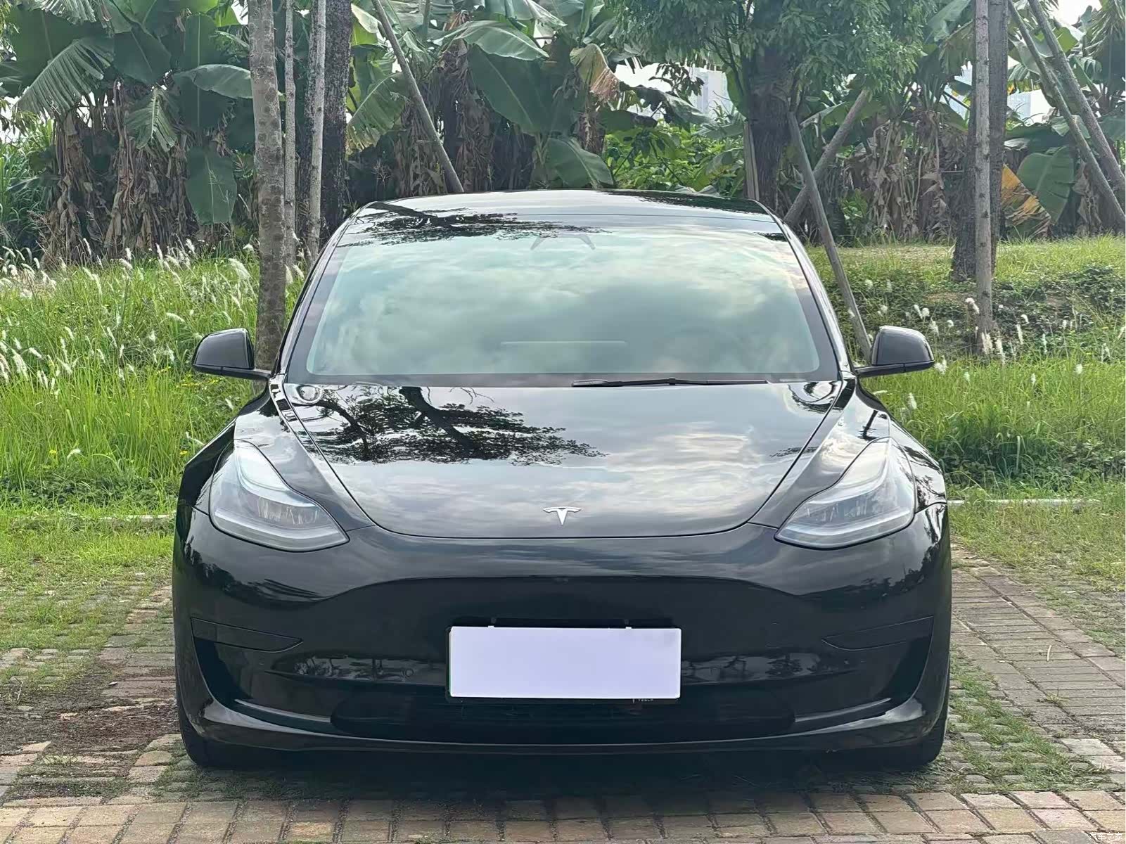 Tesla Model 3, 2021 2