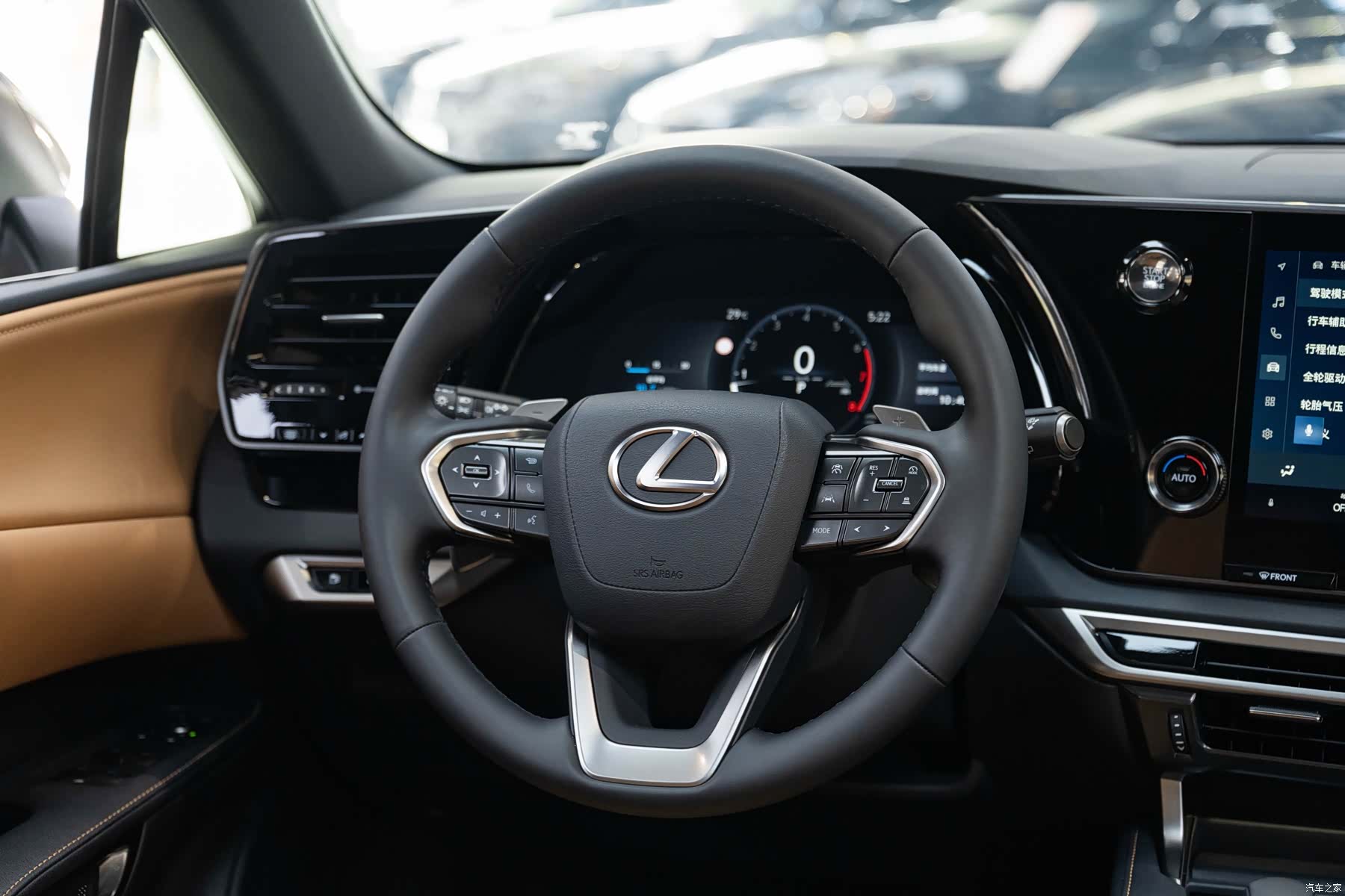 Lexus RX, 2025 14
