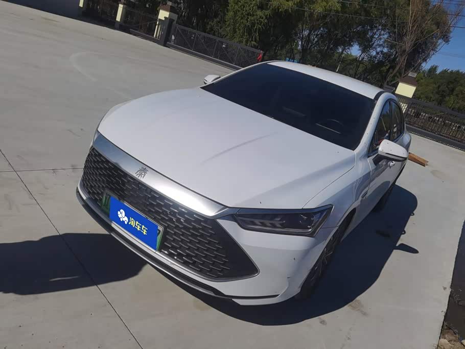 BYD Qin Plus PLUS 2024 DM-i 55KM Lead