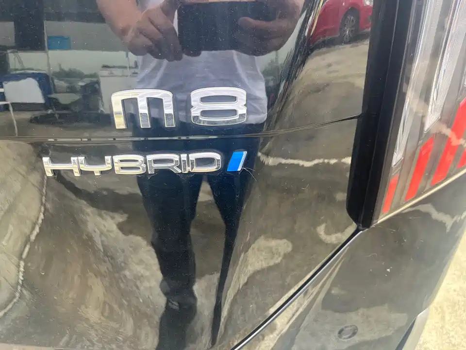 Trumpchi Trumpchi M8