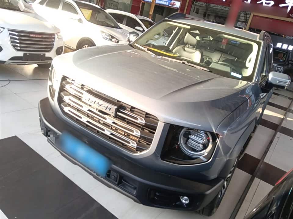 Haval Big dog