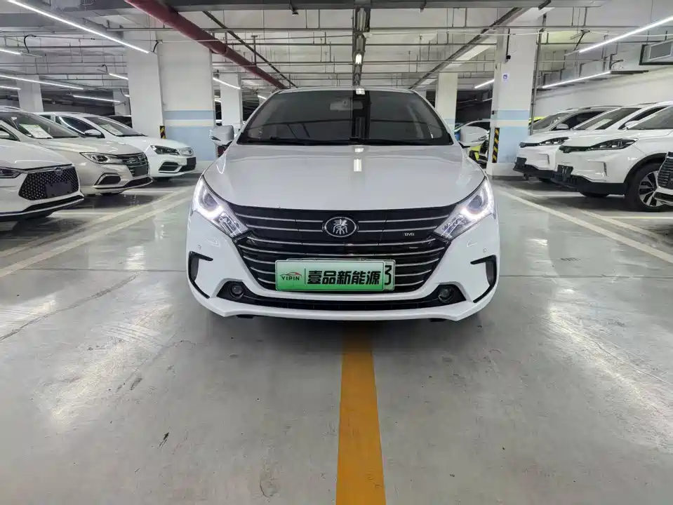 BYD Qinxin Energy