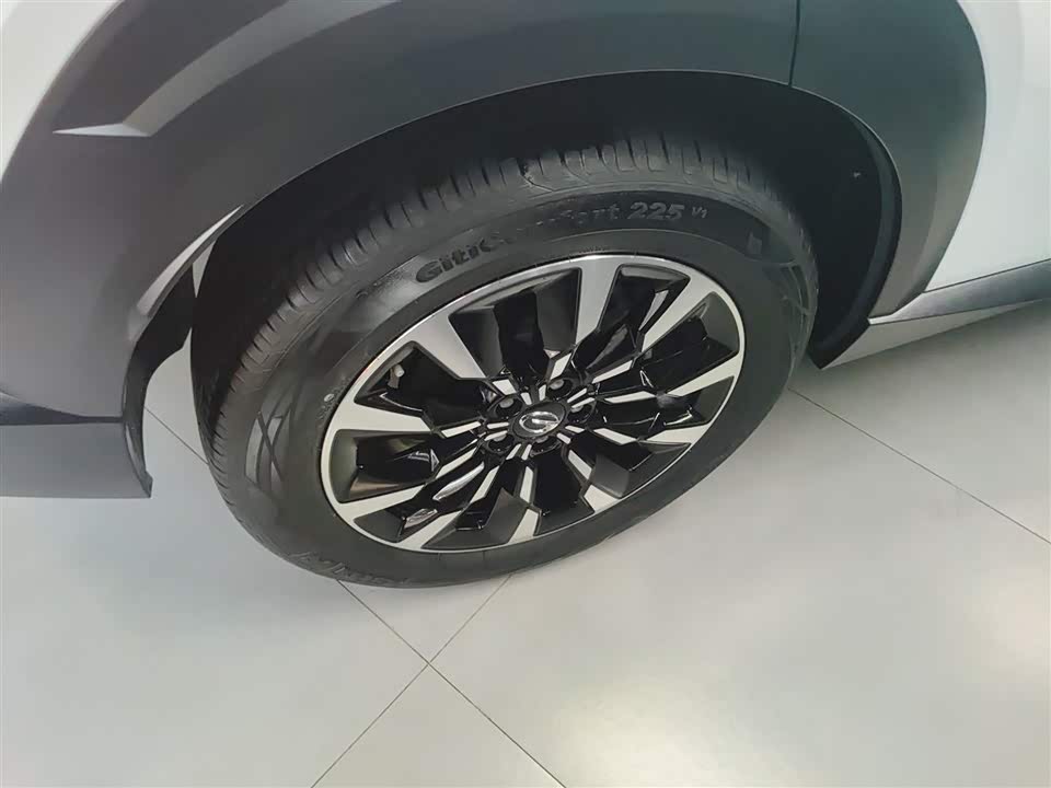 Trumpchi Shadow cool