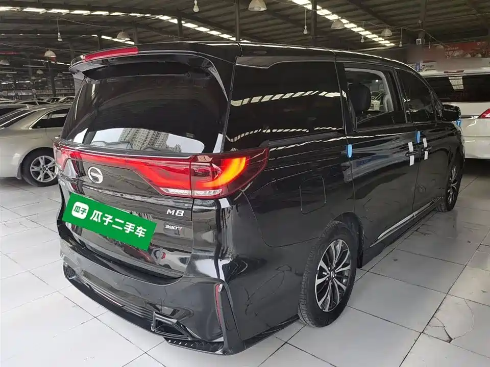 Trumpchi Trumpchi M8