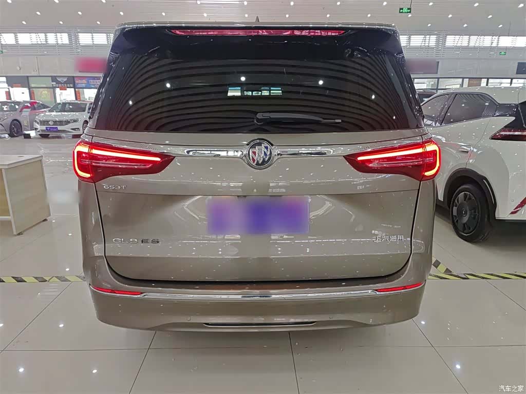 Buick GL8, 2020 6