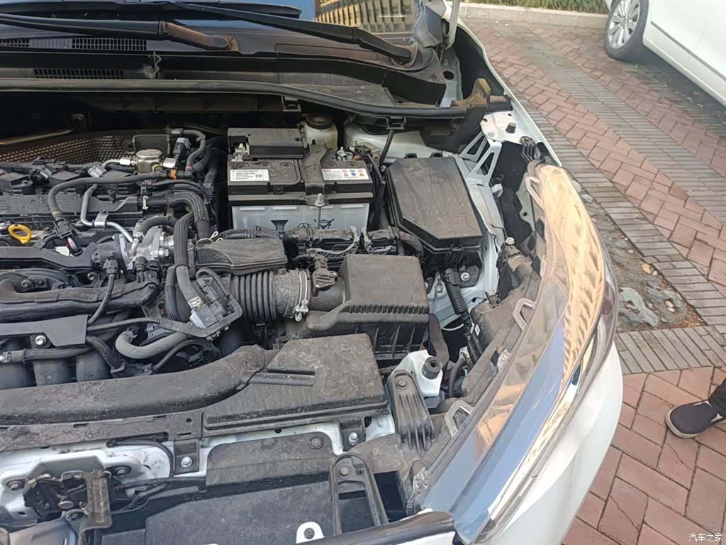 Toyota Frontlander, 2024 22