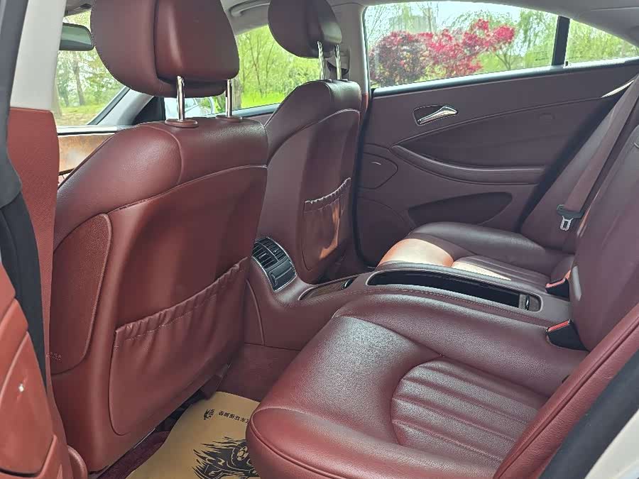 Mercedes-Benz CLS-Class 2010, фото 8