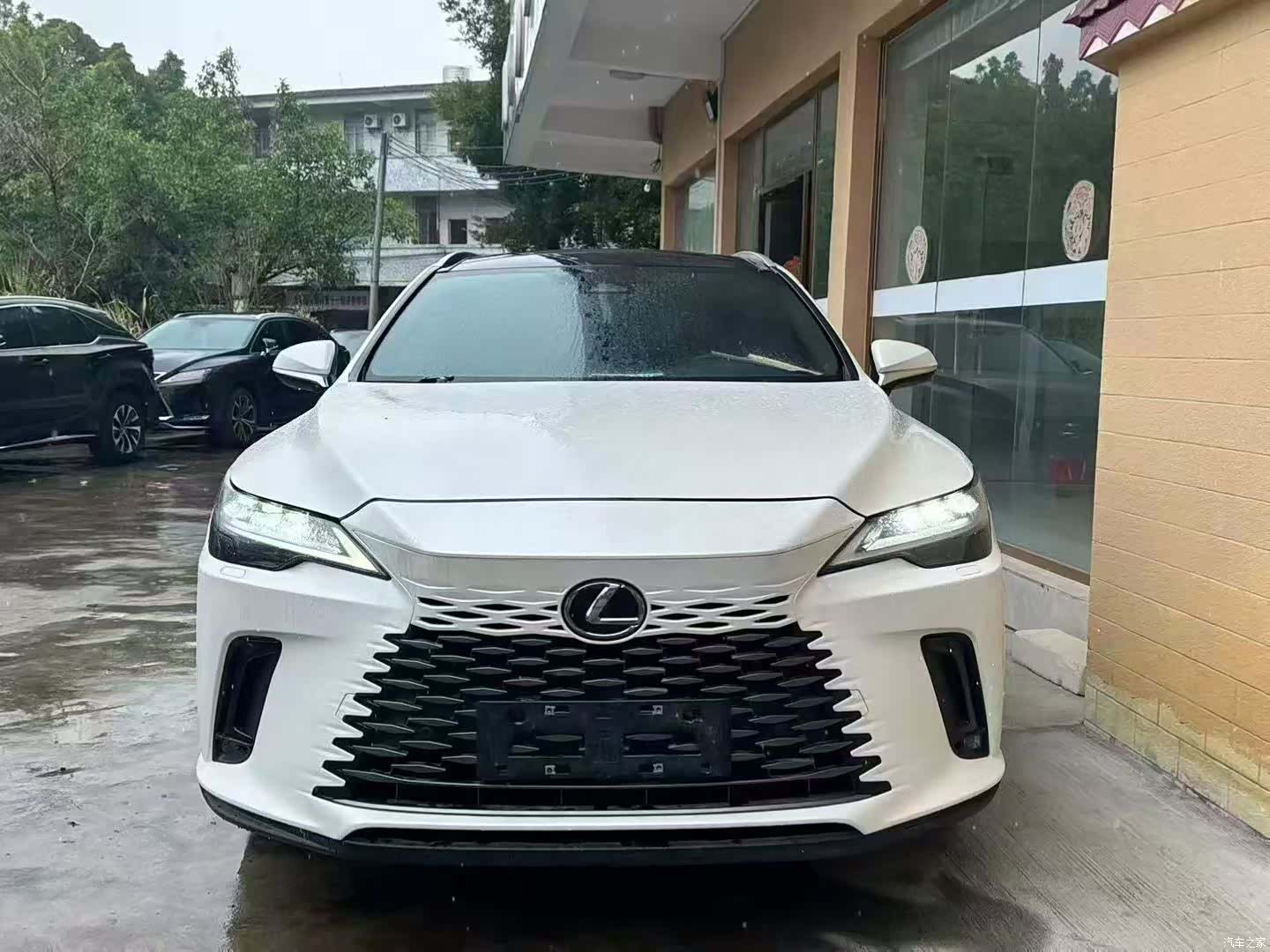 Lexus RX, 2024 1