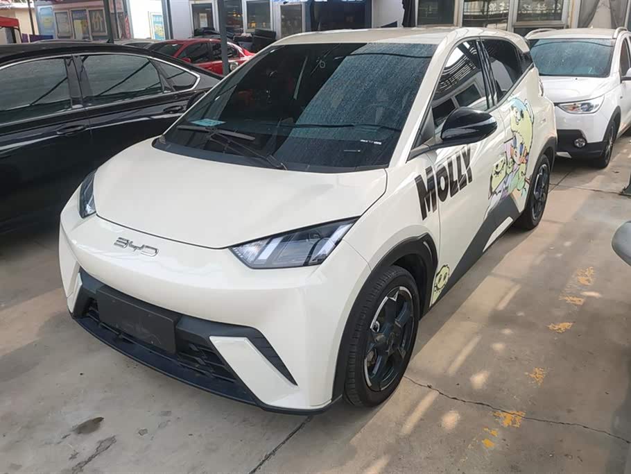 BYD Seagull