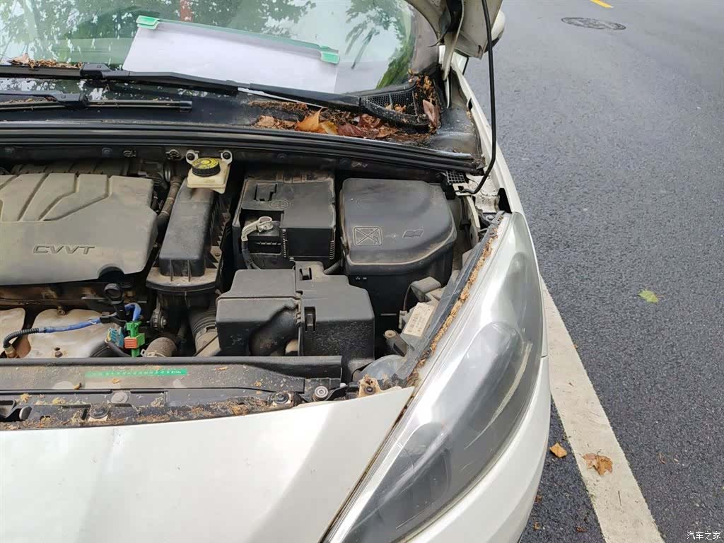 Peugeot 308, 2016 21