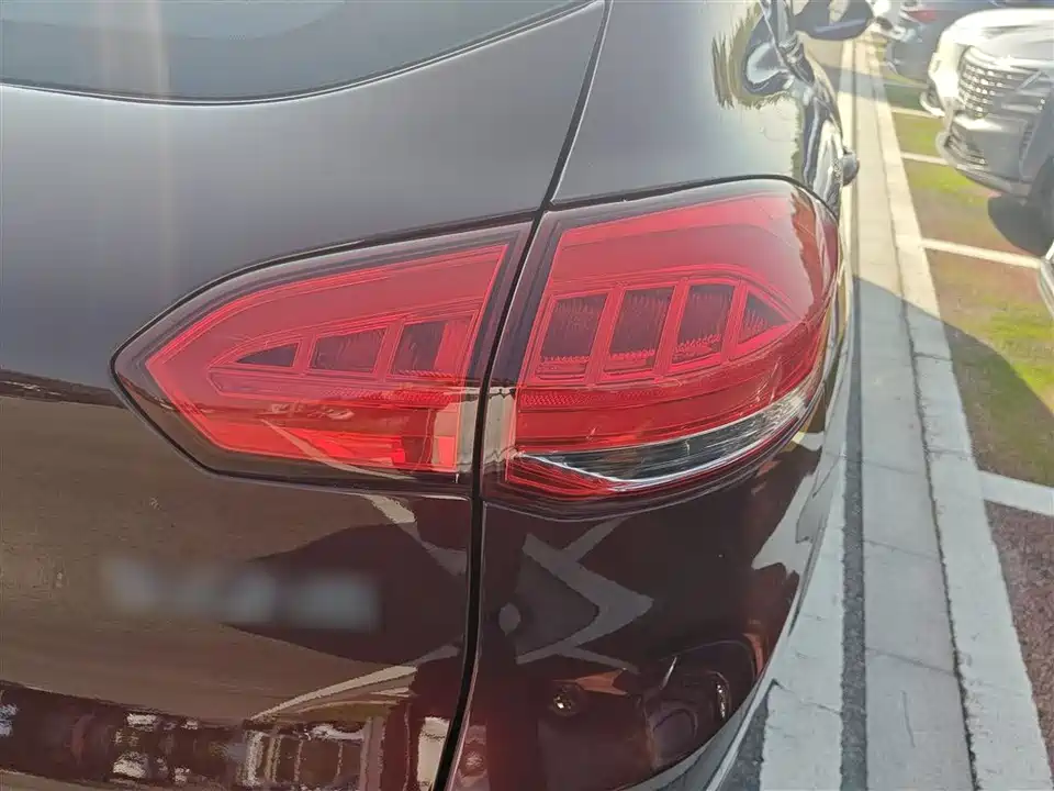 Leopaard Cheetah CS10