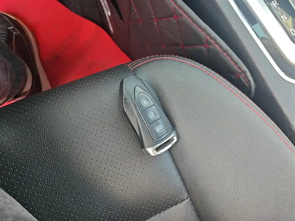 Leopaard Cheetah CS10