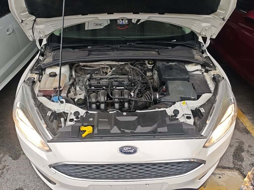 Ford Focus, 2018 19