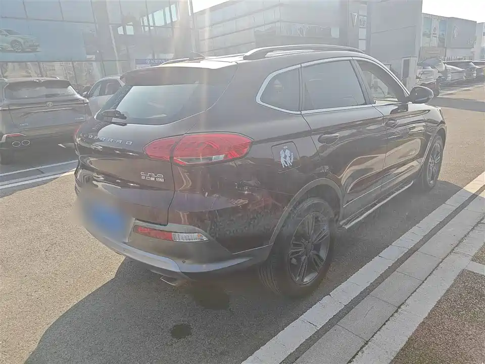 Leopaard Cheetah CS10