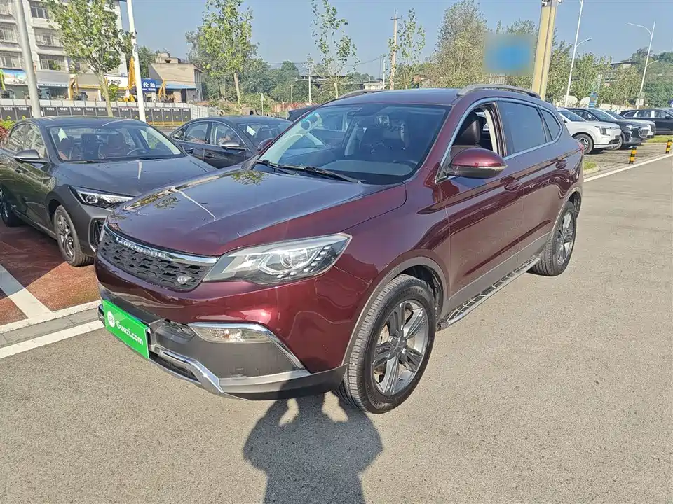 Leopaard Cheetah CS10