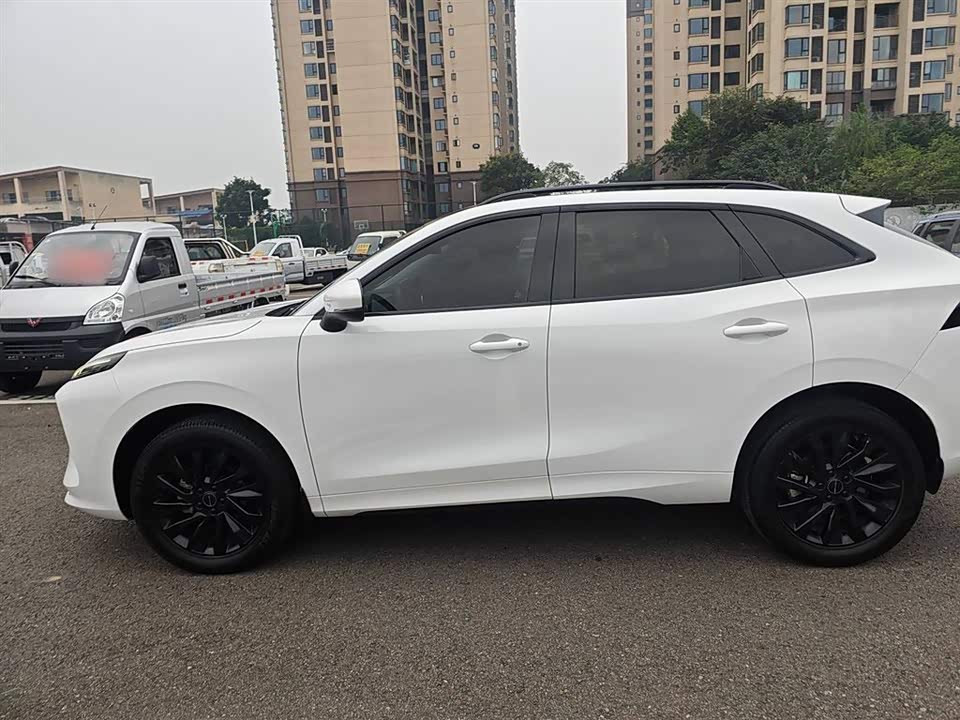 Forthing Popular T5 EVO