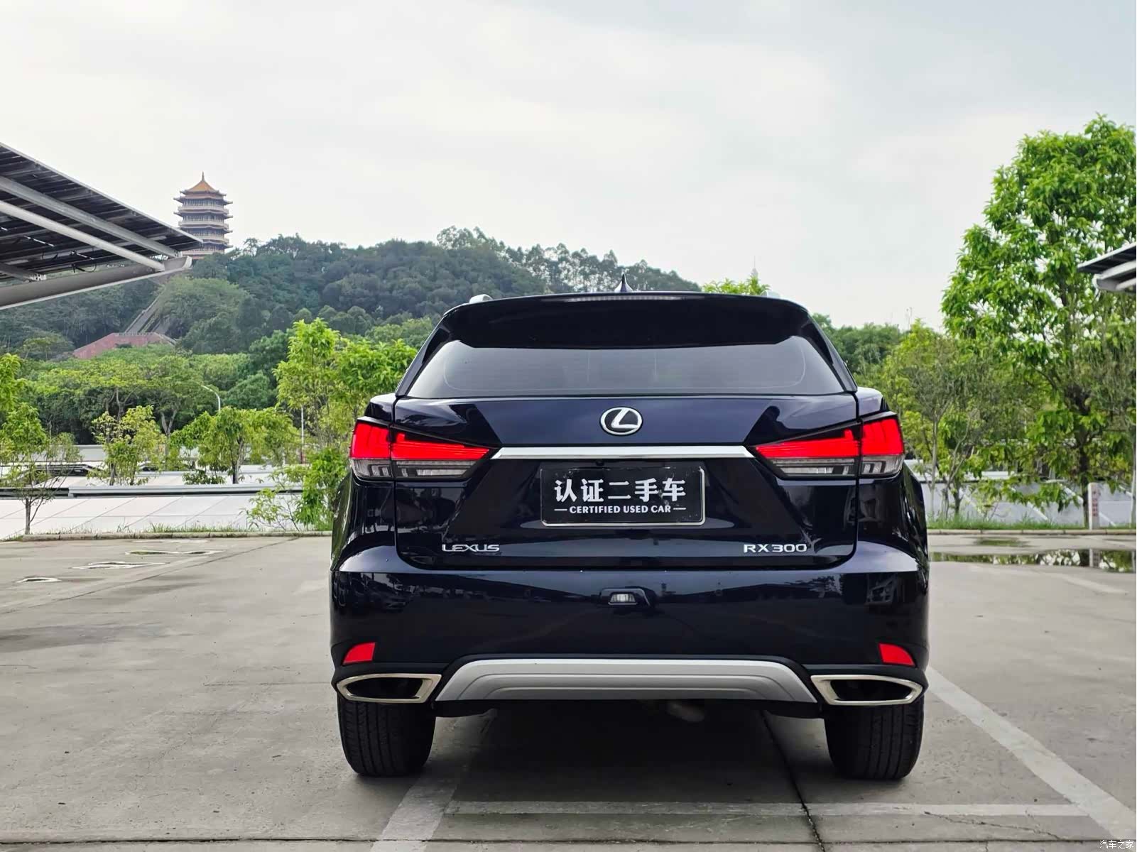 Lexus RX, 2021 17