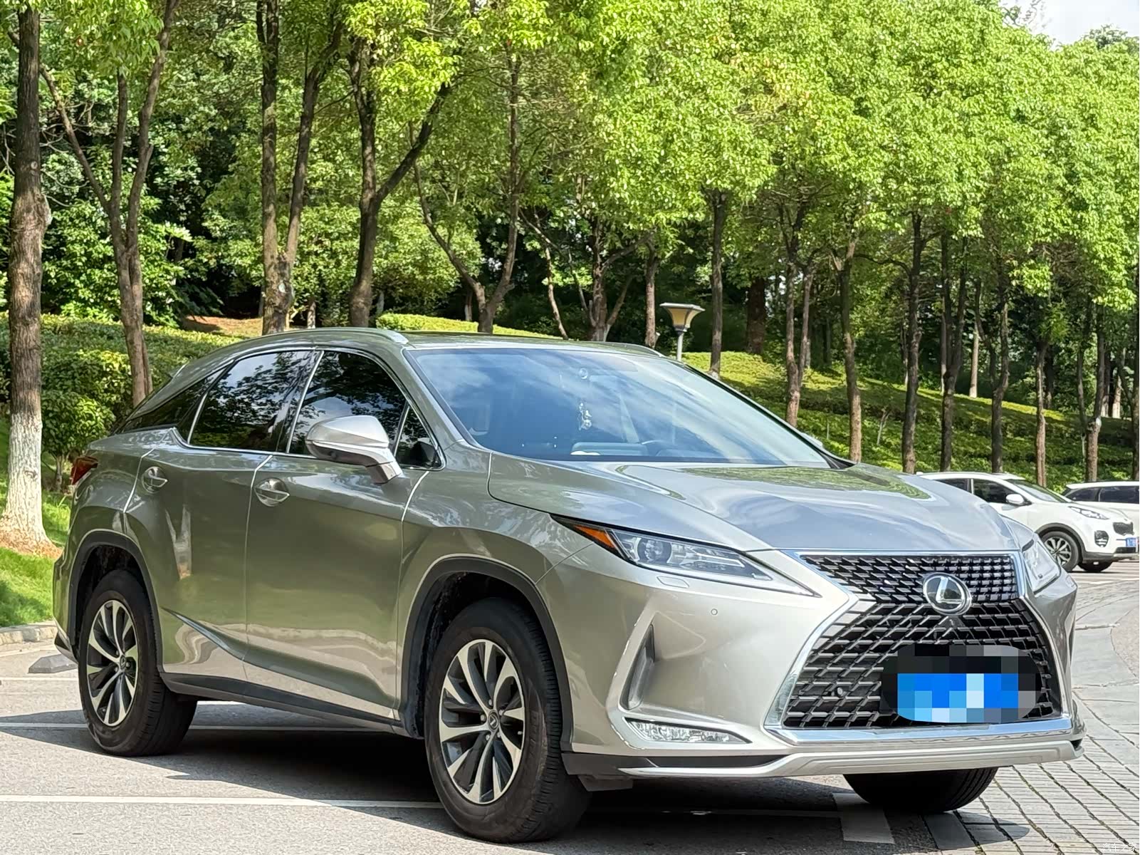 Lexus RX, 2020 3