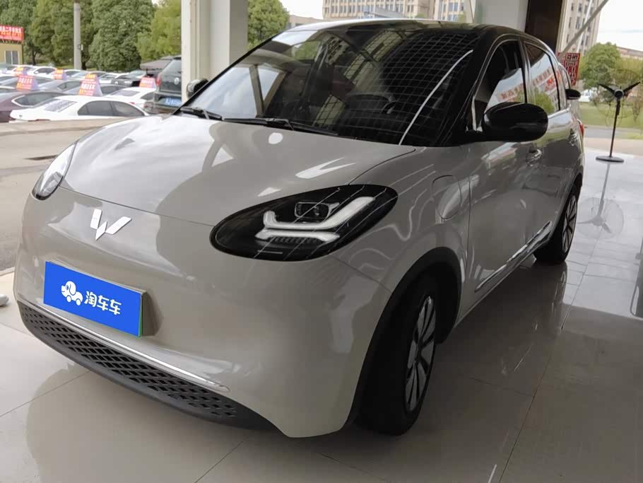Wuling Binguo