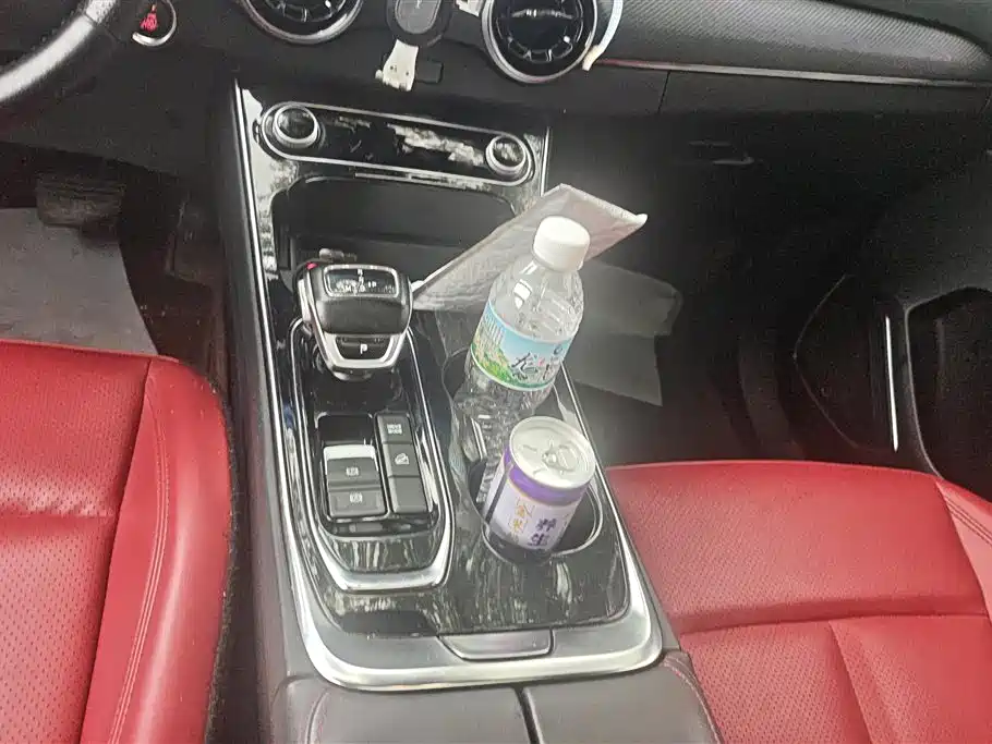 Forthing Popular T5 EVO