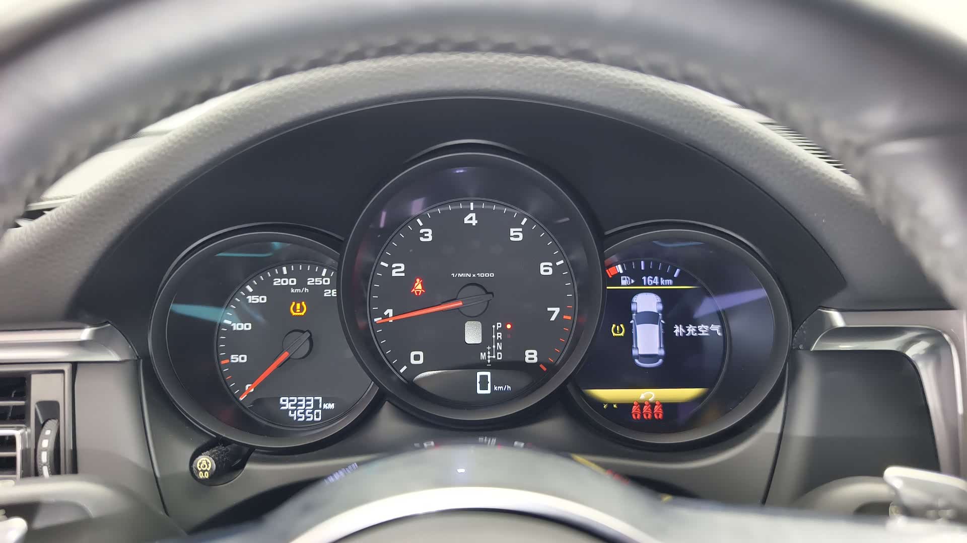 Macan Macan, 2019 12