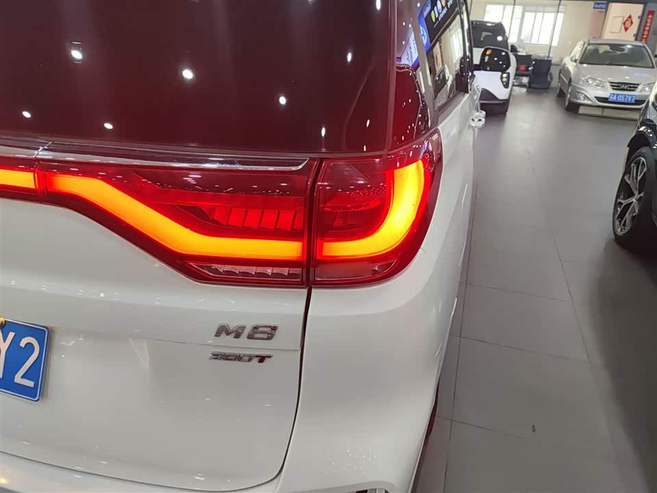 Trumpchi Trumpchi M8