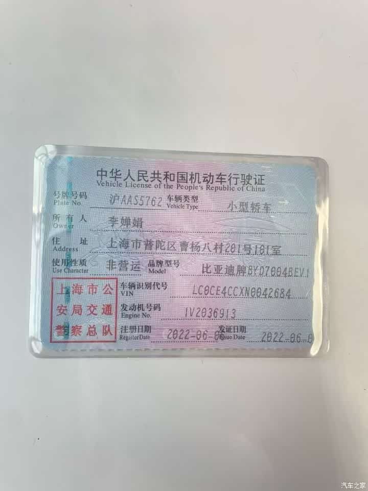 BYD Dolphin, 2022 2