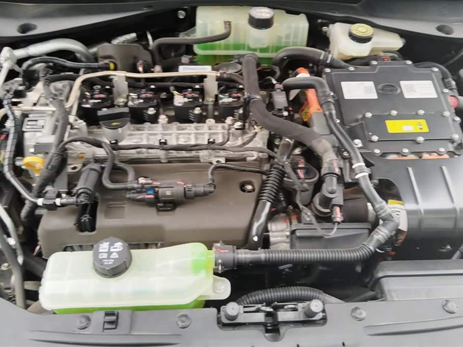 Trumpchi Shadow Leopard