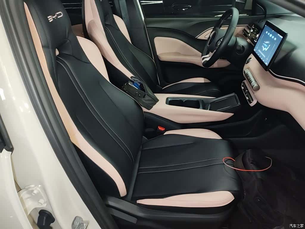 BYD Seagull, 2024 25