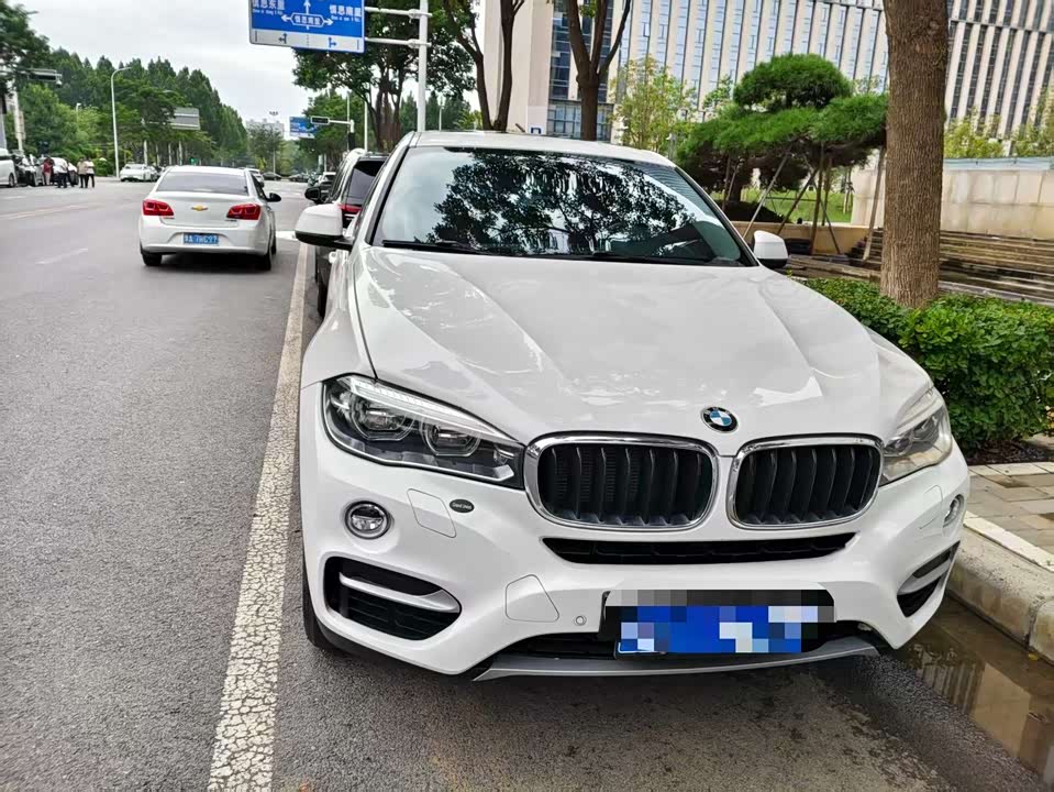 BMW X6