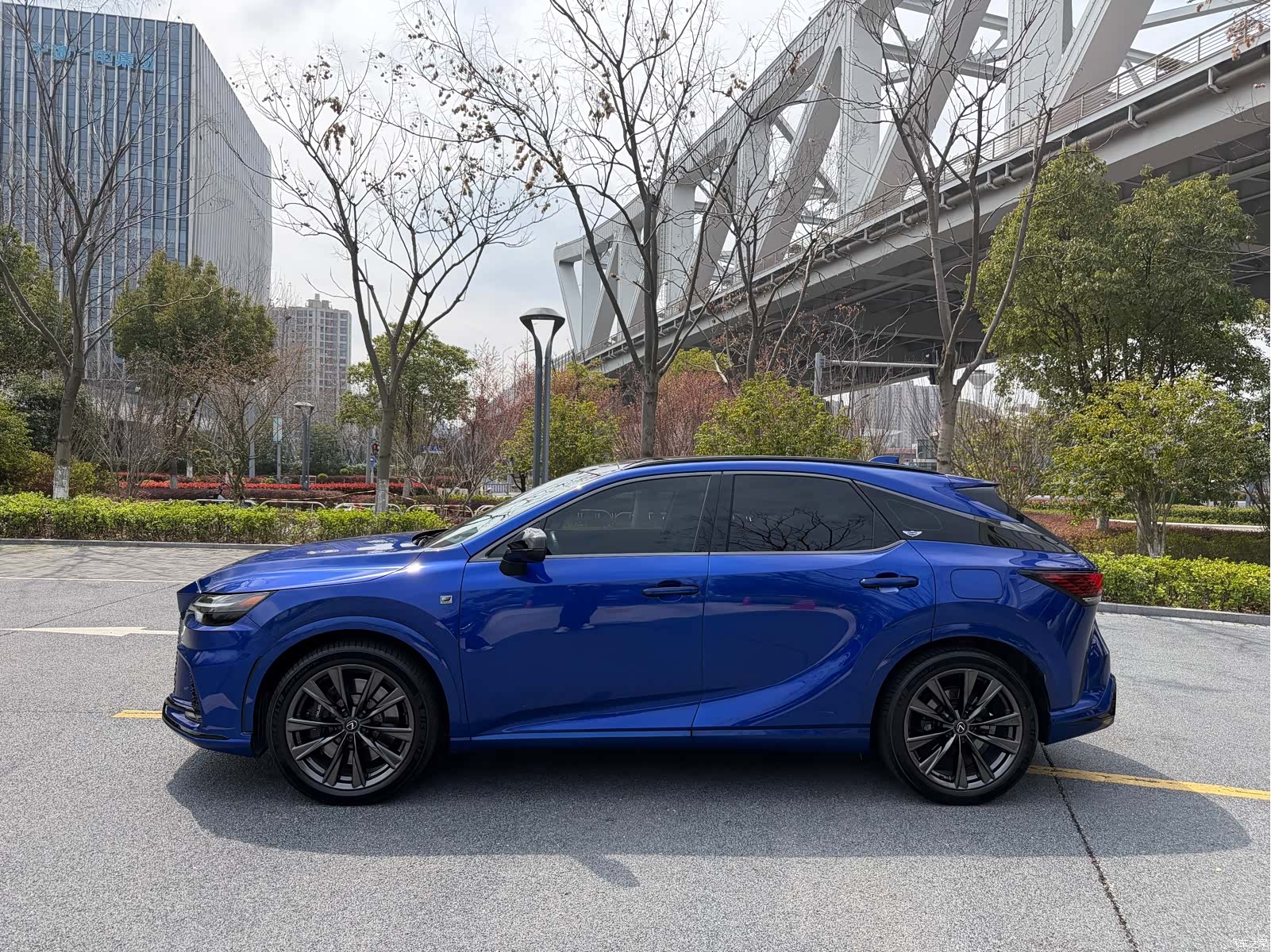 Lexus RX, 2023 4