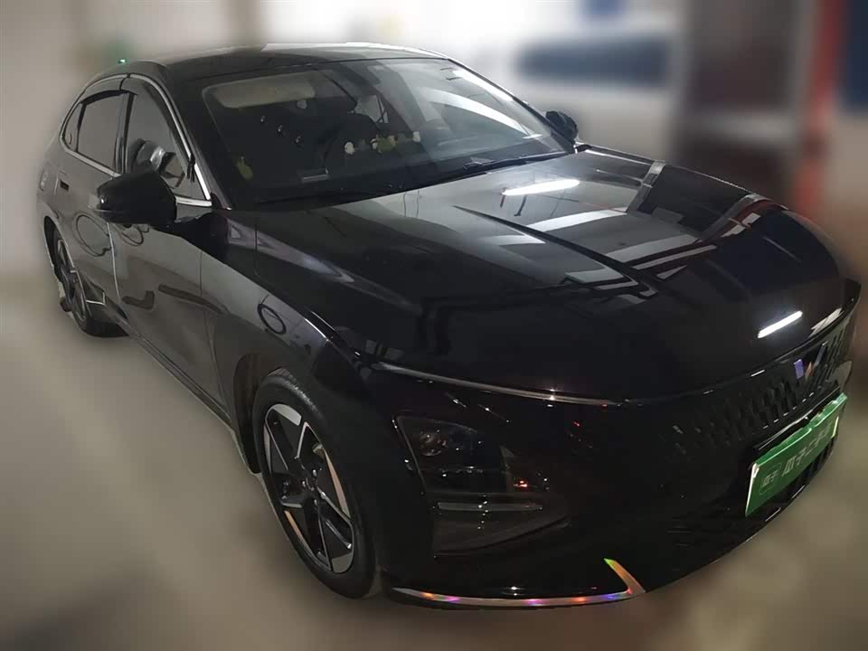 Wuling Wuling Starlight