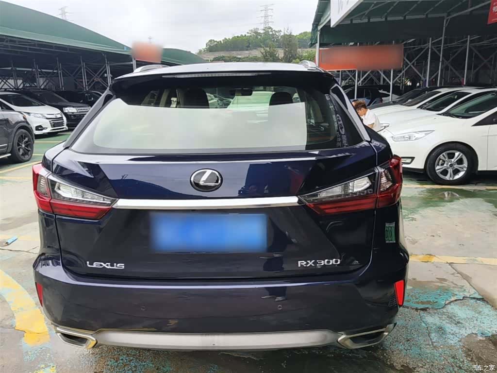 Lexus RX, 2018 все фото