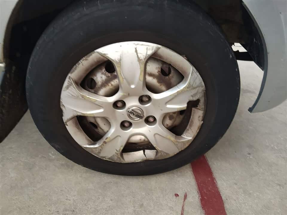 Jinbei Little Sea Lion X30