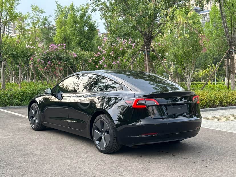 Tesla Model 3 Tesla Model 3