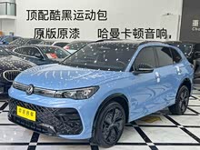 ;��L 2025�� PRO 380TSI ���� R-Line �����