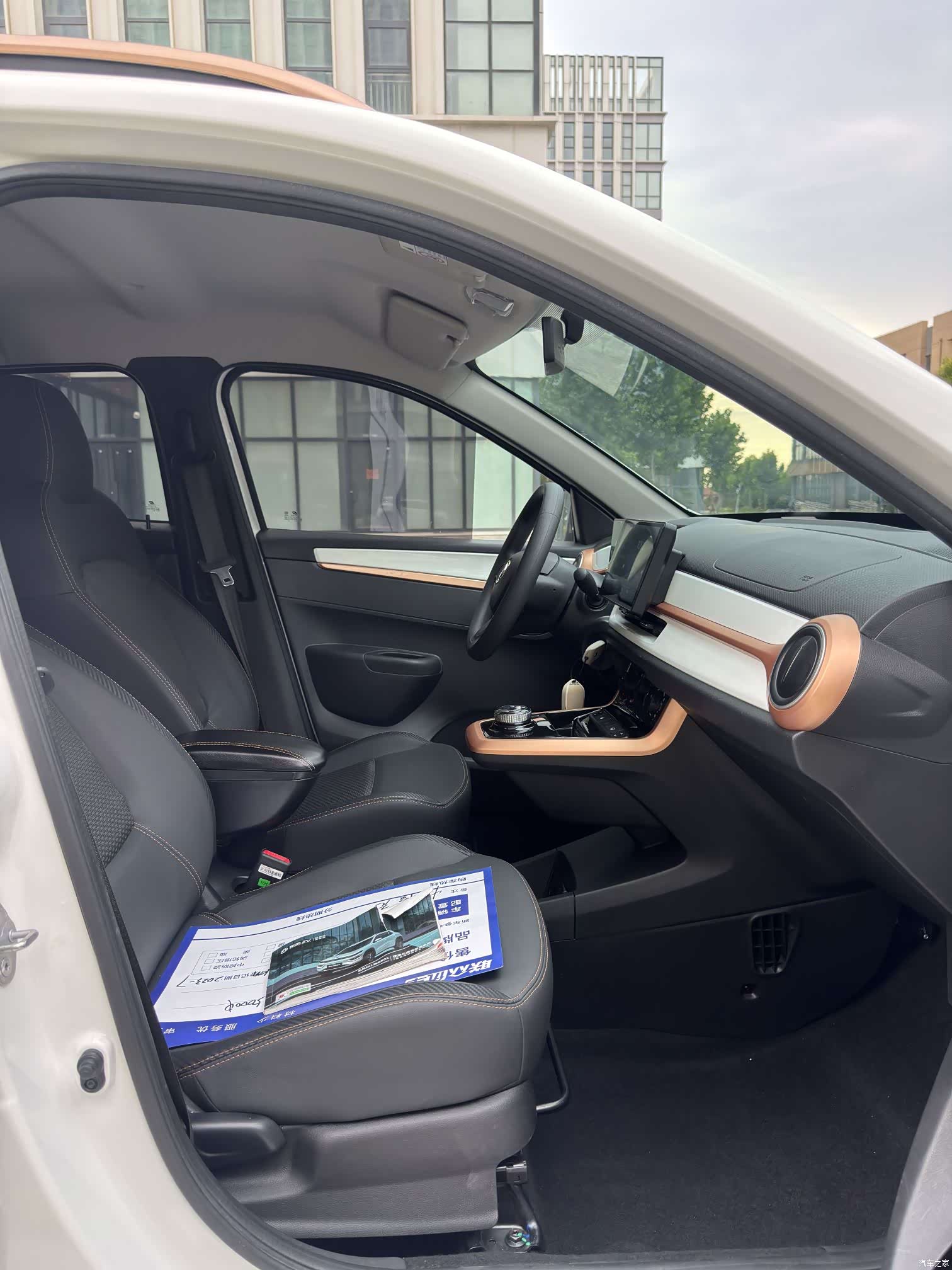 DongFeng EX1, 2023 6