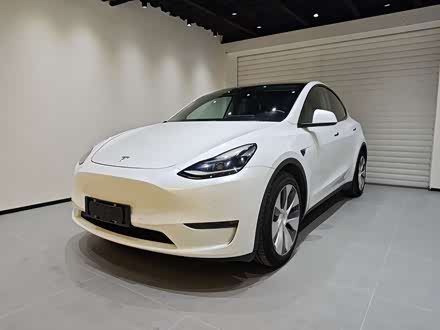Model Y 2021 ȫ