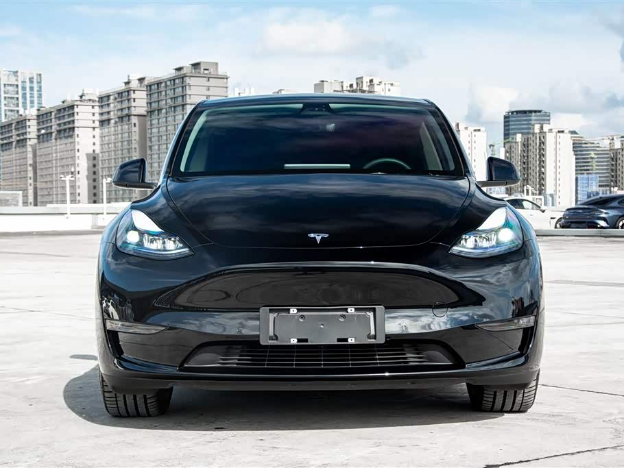 Tesla Model Y Tesla Model Y