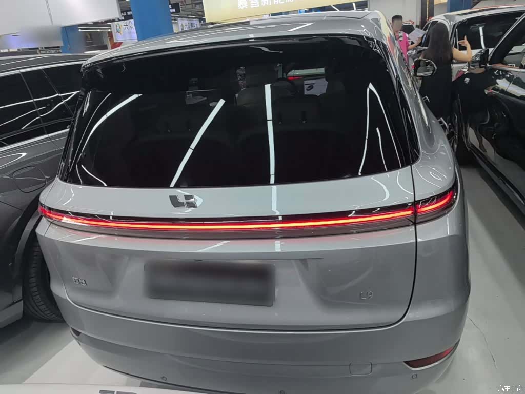 Li Auto L9, 2022 6