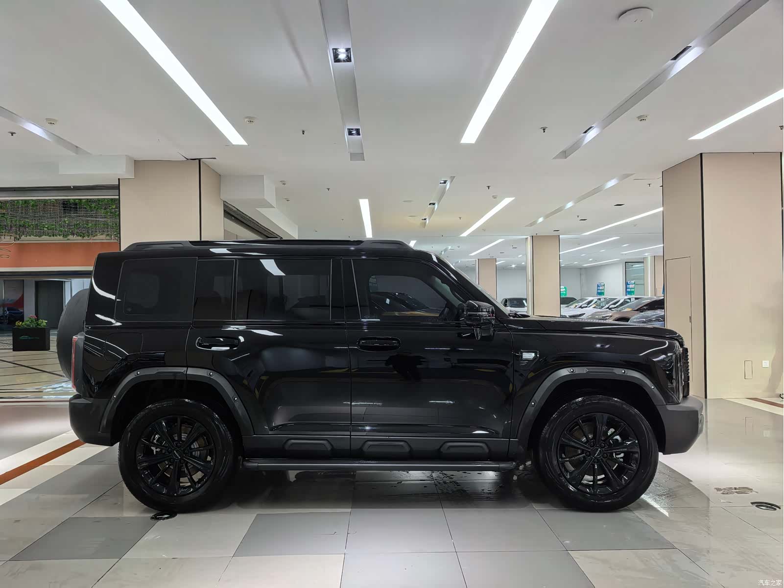 Haval Raptor, 2025 4