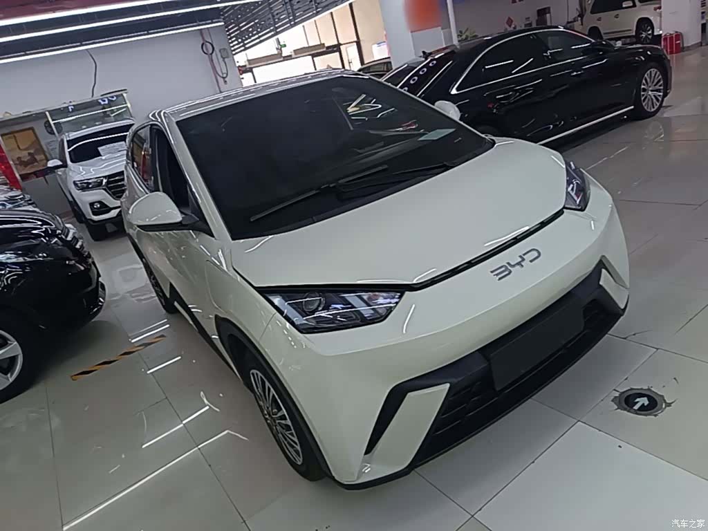 BYD Seagull, 2024 4