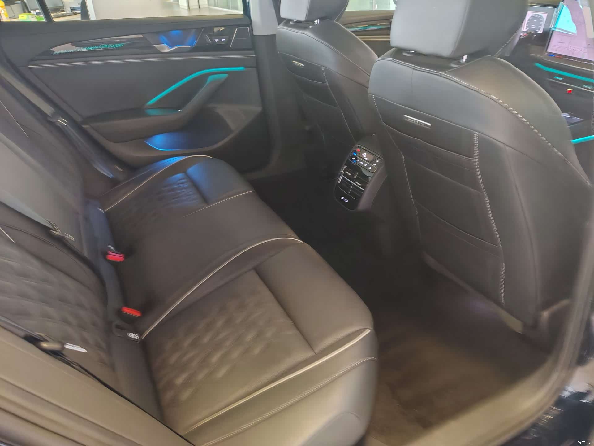 Volkswagen Magotan, 2024 33