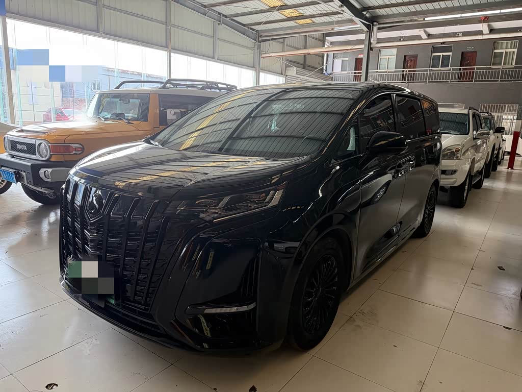 Denza D9