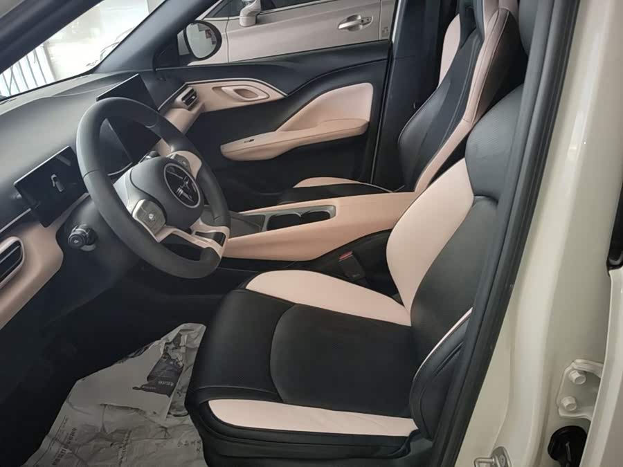 BYD Seagull 2024, фото 15