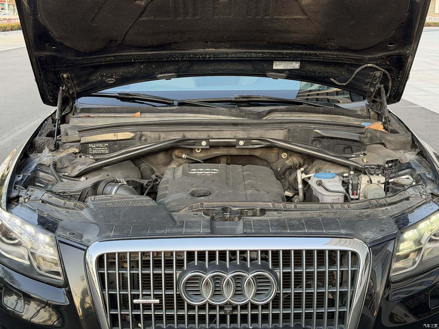 Audi Q5, 2012 13